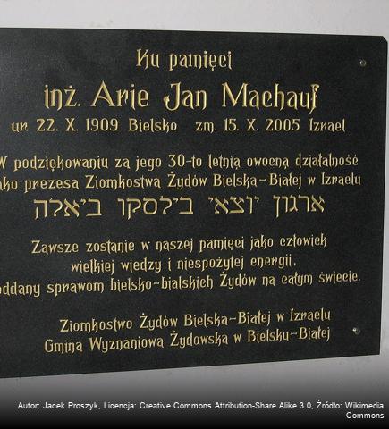 Arie Jan Machauf