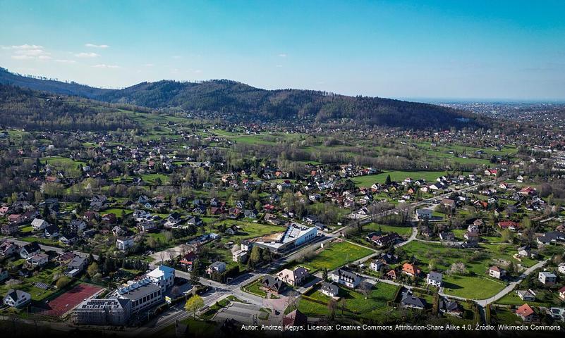 Kozia Góra (Beskid Śląski)