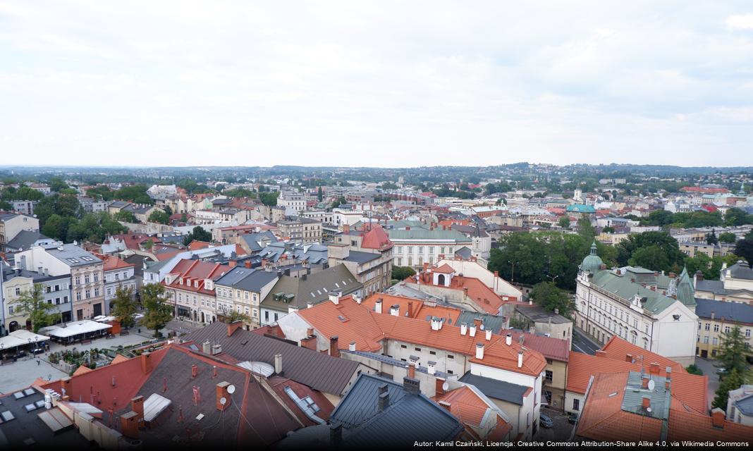 Rozpoczęły się konsultacje dotyczące przeciwdziałania przemocy w Bielsku-Białej