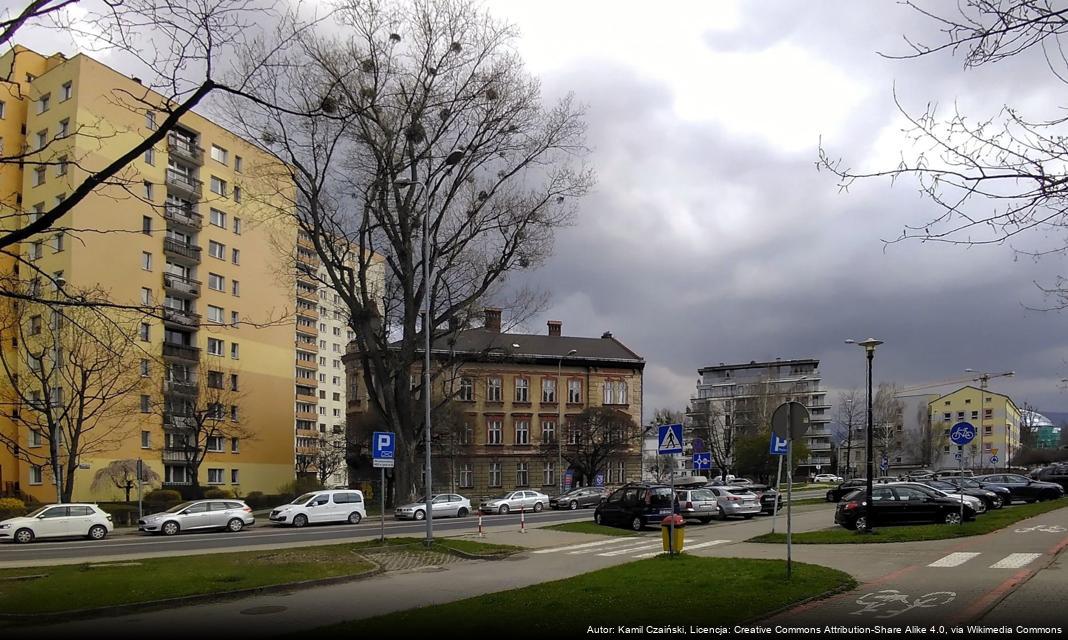 Dzień Bezpiecznego Ruchu Drogowego w Bielsku-Białej – Istotne Wydarzenie dla Mieszkańców